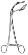 Uterine Seizing Forceps