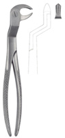 Tooth Forceps for Lower Molars & wisdom Teeth